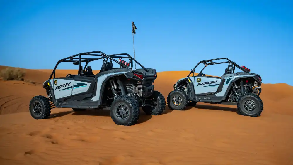 2-Seater vs 4-Seater Buggy: Which Fits Your Group?