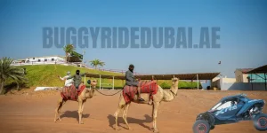 Sunrise Dune Buggy Ride in Dubai