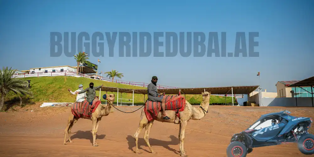 Sunrise Dune Buggy Ride in Dubai Al Badayer Desert